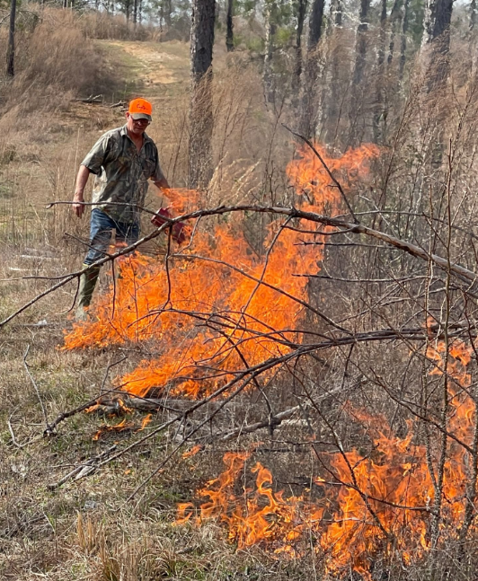 Prescribed Burn