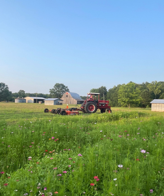 Bushhogging — Pasture Maintenance