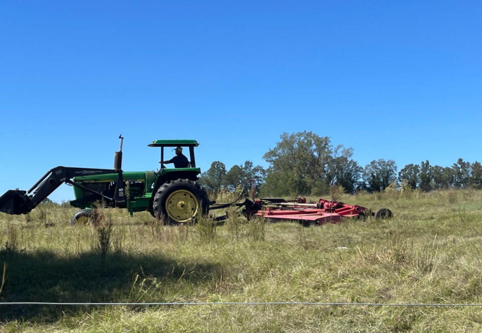 Bushhogging — Large Acreage
