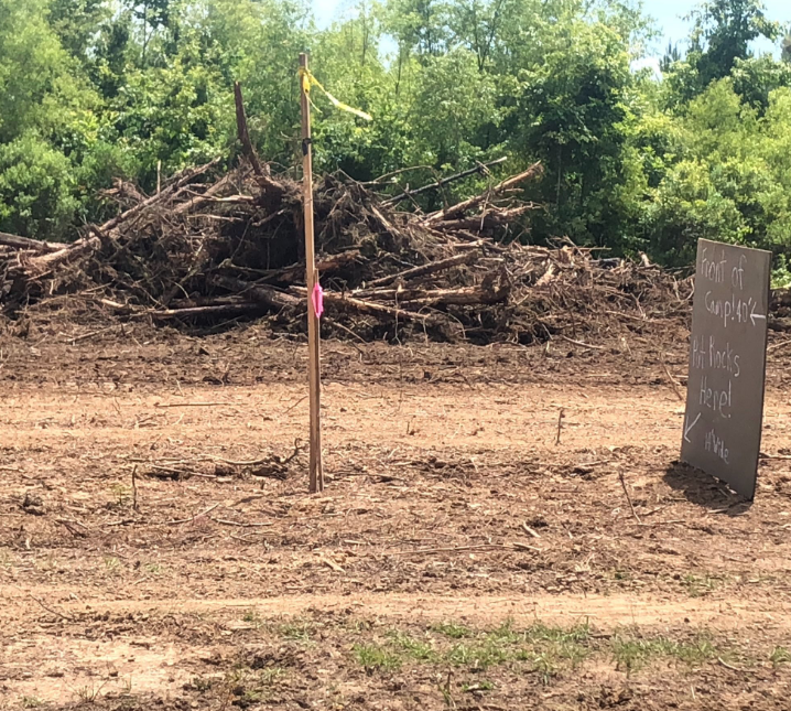 Light Land Clearing