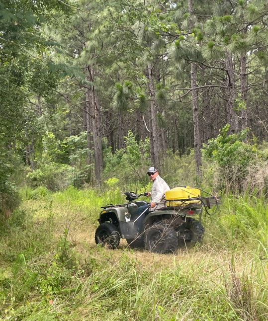 Herbicide Treatment